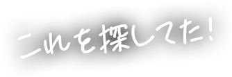 これを探してた！